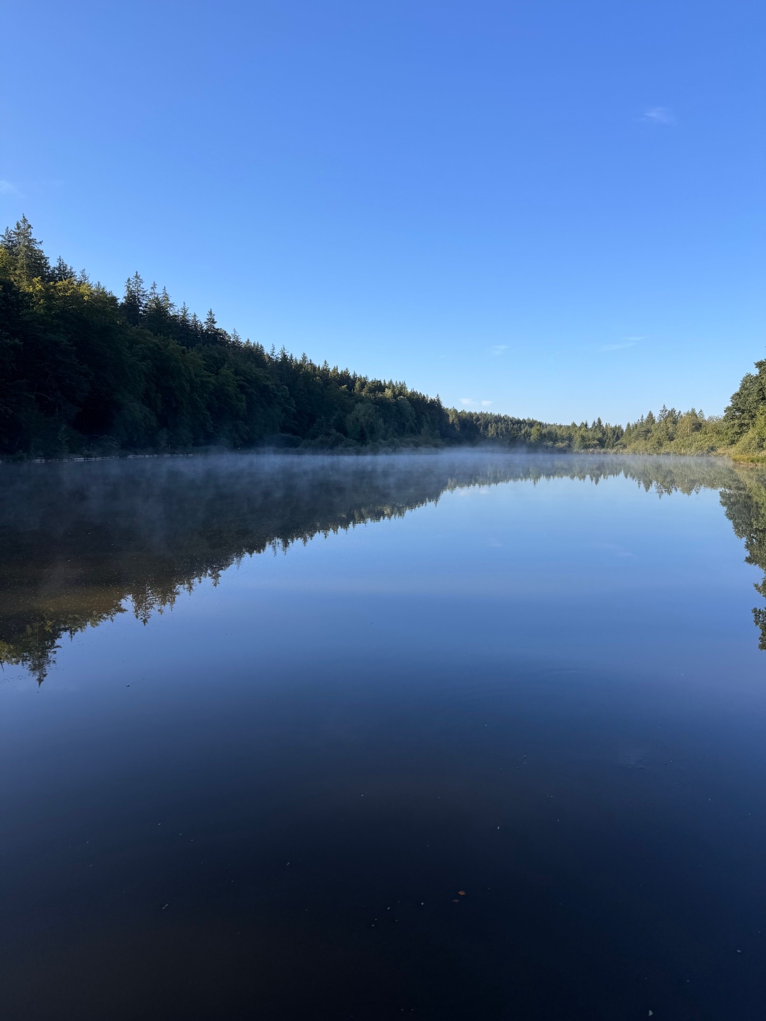 Morgennebel über dem Deininger Weiher